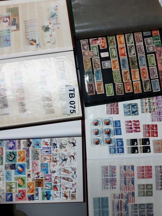 Wereld - Uitzoekpartij in 8 stockboeken, Postzegels en Munten, Postzegels | Amerika