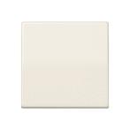 Élément De Contrôle Intelligent Jung - AS1700, Bricolage & Construction, Verzenden