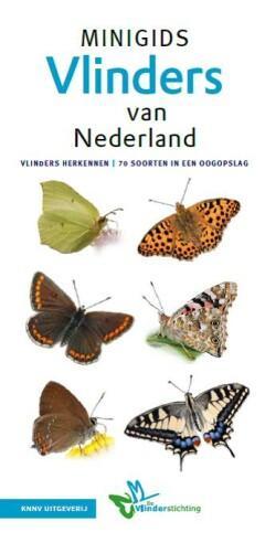 Vlinders / Minigids 9789050117418, Boeken, Hobby en Vrije tijd, Zo goed als nieuw, Verzenden