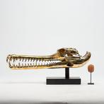 sculptuur, Gharial Crocodile Skull, on custom stand -, Antiquités & Art, Curiosités & Brocante