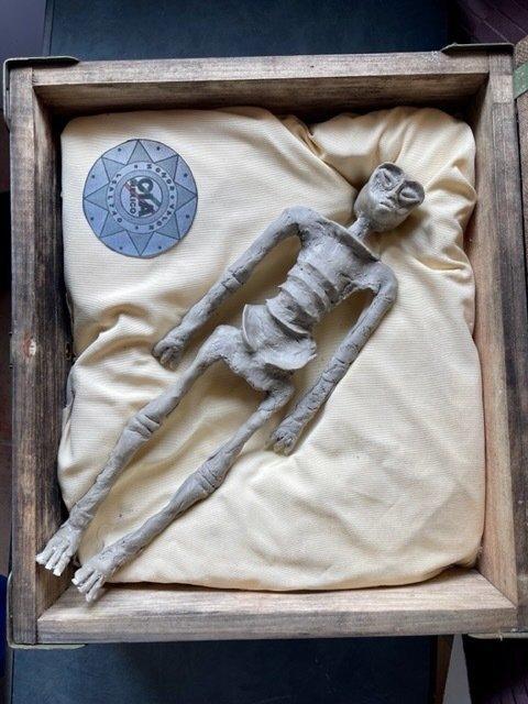 Nazca-extraterrestre (Peru) - Gereconstrueerd skelet, Antiek en Kunst, Curiosa en Brocante