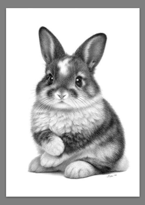 Schu - Bunny, Antiquités & Art, Art | Objets design