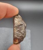 NWA 16207 - Enstatietchondriet (EL6) - 42 g