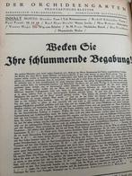 Strobl - Der Orchideengarten -Periodika 1. Jahrgang Heft
