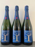 Henri Giraud, Esprit Nature - Champagne - 3 Fles (0,75, Nieuw