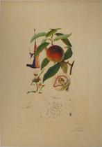 Salvador Dali (1904-1989) - Flordali, Pécheur Pénitent