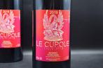 2019 Trinoro, Le Cupole - Toscane IGT - 2 Magnums (1.5L)