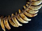 Zeer oude ketting gemaakt van honden tanden, van de Asmat, Antiek en Kunst