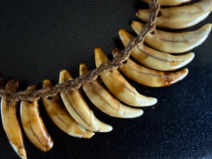 Zeer oude ketting gemaakt van honden tanden, van de Asmat, Antiek en Kunst, Kunst | Niet-Westerse kunst