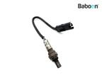 Lambda Sonde BMW F 700 GS (F700GS K70), Verzenden, Gebruikt