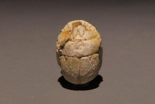 Oud-Egyptisch Speksteen Scarabee met de naam van farao, Verzamelen, Mineralen en Fossielen