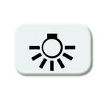 ABB Busch-Jaeger 2525 LI-214 Light Symbol R-Alpin White -, Verzenden