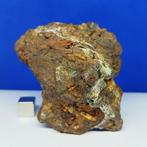 XL PALLASITE Meteoriet. SERICHO (Kenia, 2016) Olivijnen op, Collections, Minéraux & Fossiles