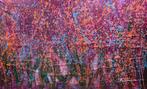 Anastasiya Tumanova - Palette des passions.-XXL