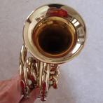 altro - - Cornet de petite taille (dit « de poche ») - 2000, Muziek en Instrumenten, Nieuw