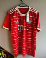 FC Bayern München - Duitse voetbal competitie - Jamal, Nieuw