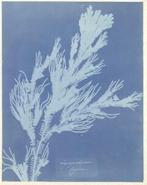 New realities 9789462083486, Boeken, Verzenden, Zo goed als nieuw