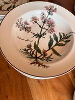 Villeroy & Boch - Tafelservies (4) - Botanica - Porselein, Antiek en Kunst