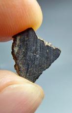 Meteoriet Plutonisch Angriet, Rafsa 007. Zeer zeldzaam, geen