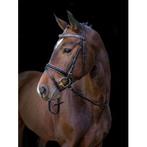 Bridon kingston noir, pony, Dieren en Toebehoren, Paarden en Pony's | Overige Paardenspullen, Nieuw