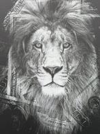 Daluxe Art - 1999 • Dollar Lion