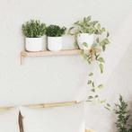 vidaXL Wandhangrek Beige 62 x 10 x 12.5 cm Massief, Huis en Inrichting, Kasten | Overige, Verzenden, Nieuw