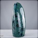 Natuurlijke Kambaba-vrije vorm Het groene fossiel van het, Antiek en Kunst