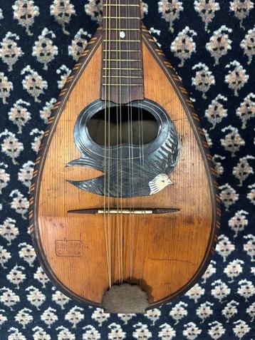 Giuseppe Indelicato - - Mandoline - Italie - 1900 (Sans Prix beschikbaar voor biedingen