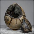 Zeer decoratieve septarien Ei met calcietkristallen- 4435.43