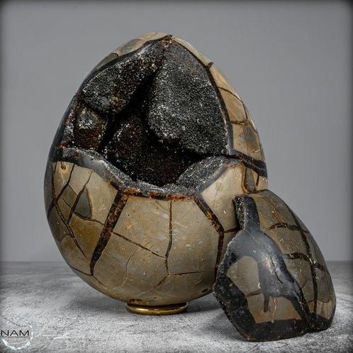 Zeer decoratieve septarien Ei met calcietkristallen- 4435.43, Verzamelen, Mineralen en Fossielen