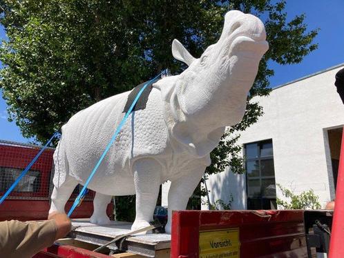 Levensgroot gipsen beeld van neushoorn Betty – 600 kg kunst, Verzamelen, Overige Verzamelen