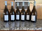 2022 Guado al Tasso Camillo - Bolgheri DOC - 6 Bouteilles, Nieuw