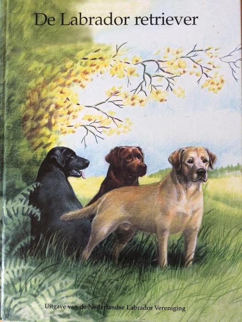 De Labrador Retriever 9789080311015 Gravestein-Schmidt, Boeken, Hobby en Vrije tijd, Gelezen, Verzenden