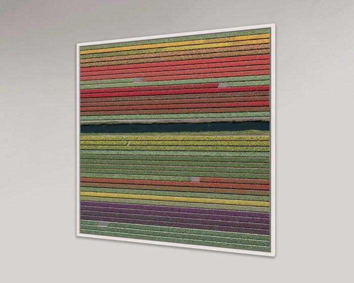 Bernhard Lang - AV_Tulip_Fields_037, Antiek en Kunst, Kunst | Designobjecten