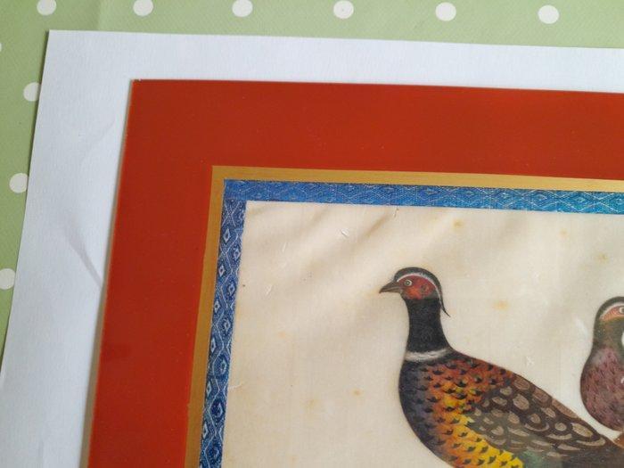 Chinese Pith Qing Dynasty 36x26cm - ARVY - China - Daoguang, Antiquités & Art, Antiquités | Autres Antiquités