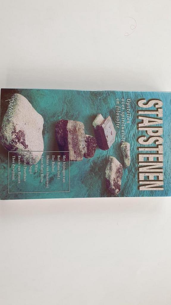 Stapstenen 9789055731220, Boeken, Filosofie, Gelezen, Verzenden