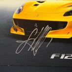 Ferrari - Sebastian Vettel - 2020 - Fankaart, Nieuw