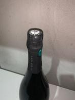 2016 Bastien Pointillart, Meuniers - Champagne - 1 Magnum, Nieuw