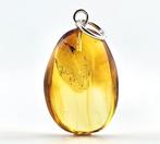 Pendentif en ambre baltique de collection – Fossile de guêpe, Nieuw