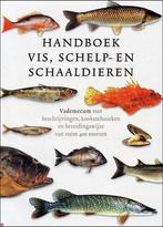 HANDBOEK VIS SCHELP EN SCHAALDIEREN 9789080660458, Boeken, Verzenden, Gelezen
