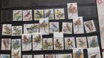 België - Vogels Buzin - COB entre 2623 et 3087, Timbres & Monnaies