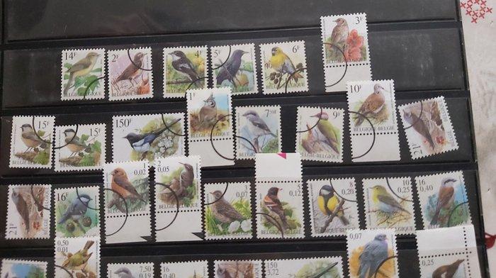 België - Vogels Buzin - COB entre 2623 et 3087, Timbres & Monnaies, Timbres | Europe | Belgique