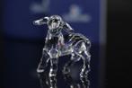 Figure - Swarovski - Lammetje (Boxed + certificate) -