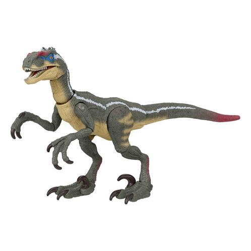 Jurassic World Hammond Collection Action Figure Velociraptor, Verzamelen, Film en Tv, Ophalen of Verzenden