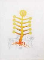 Salvador Dali (1904-1989) - Soleil – Sonnenblume - Sunflower