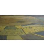 TORREMOCHA - Sin título 21