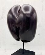 Coco de mer ou Coco fesse Support de corps entier pour