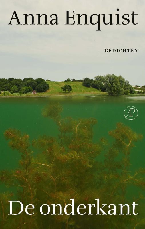 De onderkant 9789029553834 Anna Enquist, Boeken, Overige Boeken, Zo goed als nieuw, Verzenden