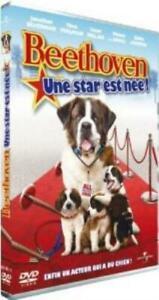 BEETHOVEN - UNE STAR EST NéE DVD, CD & DVD, DVD | Autres DVD, Envoi