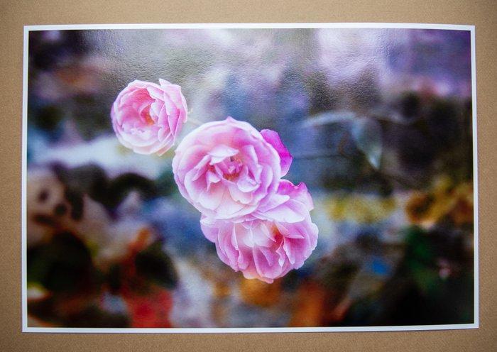 Viet Ha Tran - Garden of Time VI, Antiek en Kunst, Kunst | Designobjecten